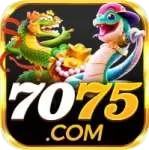 7075 logo